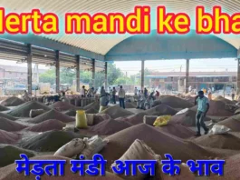 Merta mandi ke bhav 19-11-25, मेड़ता मंडी के भाव Merta mandi ke bhav