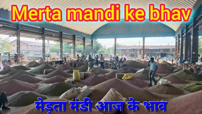 Merta mandi ke bhav