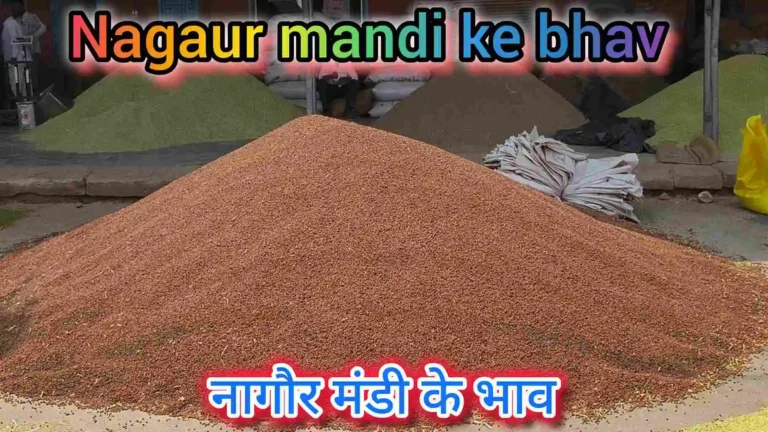 Nagaur mandi ke bhav